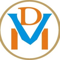 Dgtal Veb Media logo - Similar company to Skygoalcloud