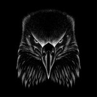 Blackstone Security Solutions logo - Similar company to Blackstone Security Force