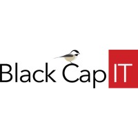 Black Cap IT logo - Similar company to Zonixsoft