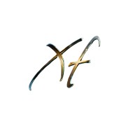 XF logo - Similar company to Jem Point Of Sale Limited