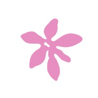 Developh logo - Similar company to Melpro Digital Lab