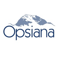 Opsiana logo - Similar company to Z-Joule