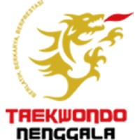 Taekwondo Nenggala logo - Similar company to Webin
