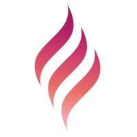 Fire Digital logo - Similar company to Ra Scale Ag