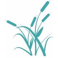Senior Care Options Inc. logo - Similar company to Parker Health Group