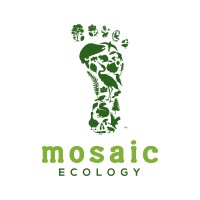 MOSAIC ECOLOGY LLC