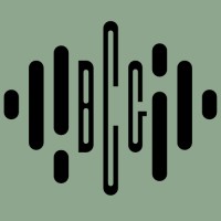 BETA Consulting Group logo - Similar company to Techfriendly Solutions