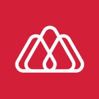 Banco Lider logo - Similar company to Portion Banco