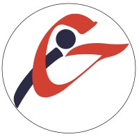infinigroup sarl logo - Similar company to Target'Com