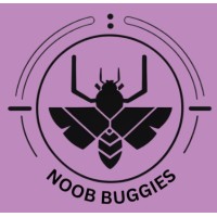 Noob Buggies logo - Similar company to Visionastraa Startup Academy