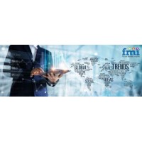 Future Market Solution logo - Similar company to Malta Medicines Verification Organization (Mamvo)