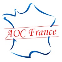 AOC France Co.,Ltd logo - Similar company to Store.Icu