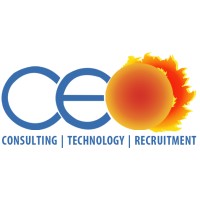 Centre for Excellence in Organization Private Limited logo - Similar company to Lym Technologies Pvt Ltd.