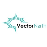 VectorNorth logo - Similar company to Iese Solutions