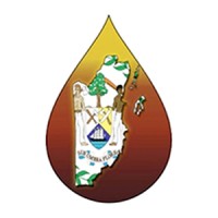 Belize Natural Energy Limited