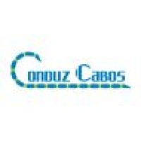 Conduz Cabos logo - Similar company to Tecnicabos - Tecnologia De Solução Em Cabos Ltda.