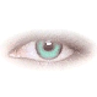 Autonomo