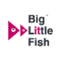 Big Little Fish logo - Similar company to Ddk Positioning