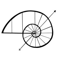 Capitalism Must Evolve logo - Similar company to Transsafeafrica