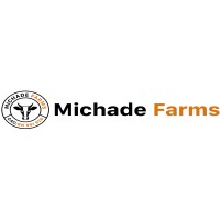 MICH-ADE NIGERIA ENTERPRISES logo - Similar company to Oldenburger Professional