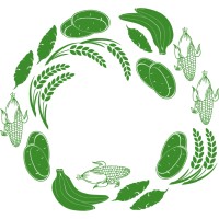 Oma's Whole Foods logo - Similar company to Omas Solutions Kft.