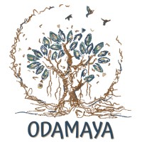 ODAMAYA logo - Similar company to Odm-Metal