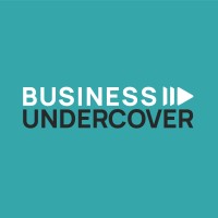 Business Undercover logo - Similar company to Επίλυση