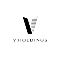 V Holdings Inc. logo - Similar company to Inomapi Inovação
