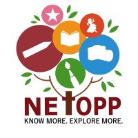 Netopp logo - Similar company to Netops