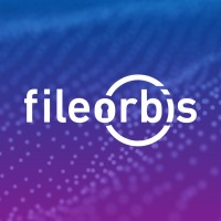 FileOrbis logo - Similar company to Virasoft