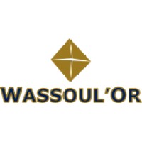 Aliou Boubacar Diallo, Wassoul’Or et Petroma Inc logo - Similar company to Naka Instrument