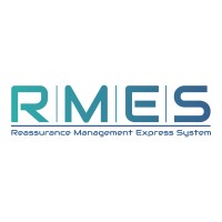 R-MES logo - Similar company to Ntwu