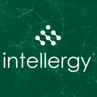 Intellergy logo - Similar company to Solvyng
