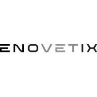 Enovetix logo - Similar company to Avb Digital