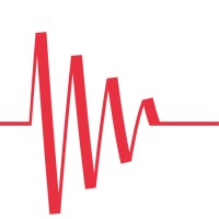 Stiftung für Baudynamik und Erdbebeningenieurwesen logo - Similar company to Swiss Seismological Service (Sed) At Eth Zurich