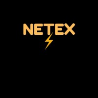 NETEX INTERNACIONAL LTDA logo - Similar company to Wg Comex E Cargo