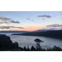 Sierra Nevada Ingredient Consulting