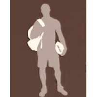Premier Football Consulting logo - Similar company to Micawber Capital
