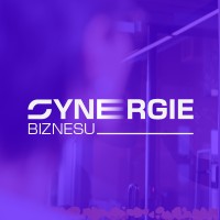 Synergie Biznesu logo - Similar company to Micromech Ltd