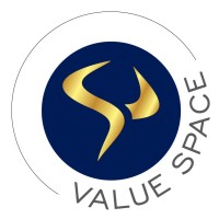 Value Space logo - Similar company to Value.Space