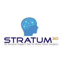STRATUM Project logo - Similar company to Ec2U (European Campus & Online City University Network Alliance) - Top Uni Alliance In Eu