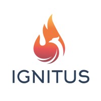 Ignitus logo - Similar company to Ignitus