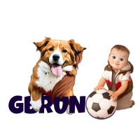 GBruno LLC logo - Similar company to Willow Commerce