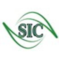 Standard Island Computers LLC logo - Similar company to Dits Network Solutions