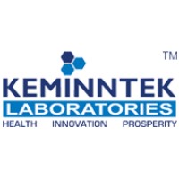 Keminntek logo - Similar company to Pharmadem Solutions