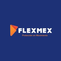 Flexmex logo - Similar company to Madpas Logistics