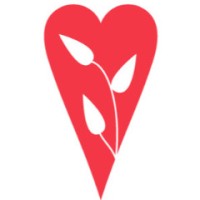 Healing Haiti logo - Similar company to Zozu Project