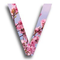 trive logo - Similar company to Abc Data Soluciones