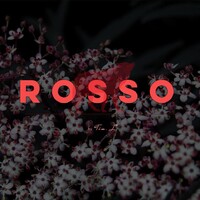 ROSSO logo - Similar company to Data Profession Academy