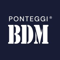 Ponteggi BDM logo - Similar company to Dado Group